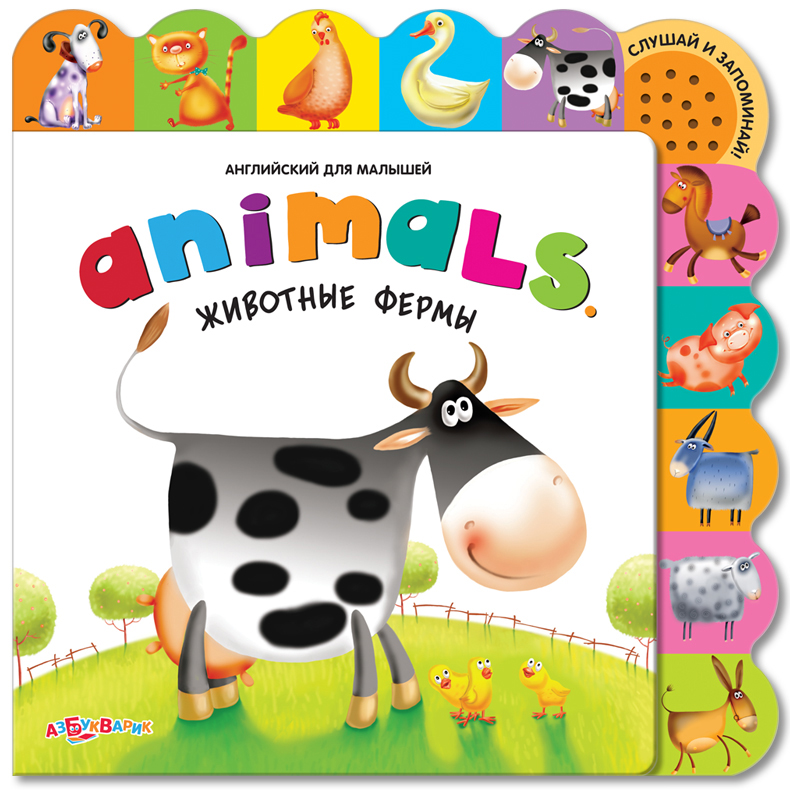 Книга animals animals