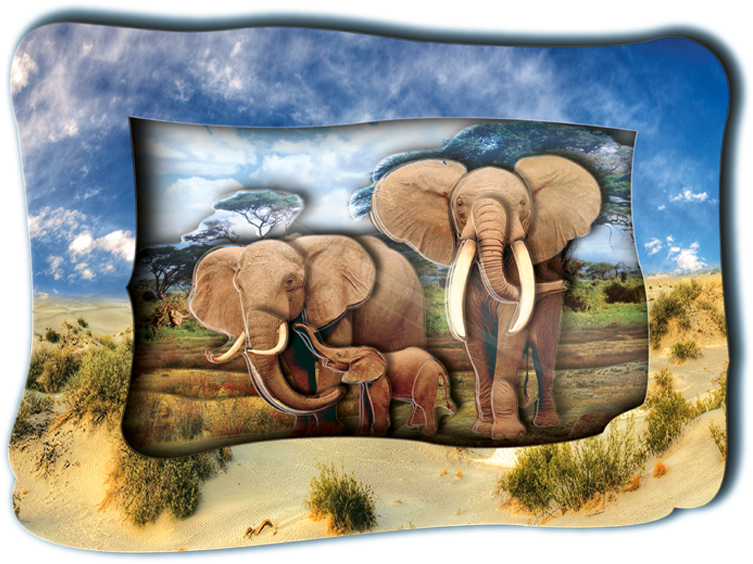 Объемная картинка "Слоны на прогулке" (Vizzle 0151)