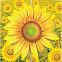 Набор для изготовления открытки "Цветы. Солнечный цветок" (Клевер АБ 23-811)