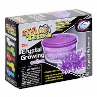 Набор для выращивания кристалла "Crystal Growing. Purple"