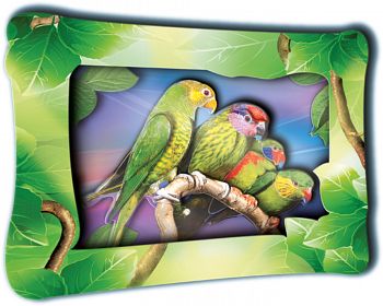 Объемная картинка "Ожереловые попугаи" (Vizzle 0145)