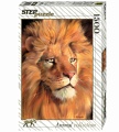 Пазл "Animal Collection. Лев" (1500 элементов)