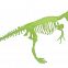 Набор "Тираннозавр Рекс. Светящийся скелет самого свирепого динозавра" (Дино Горизонт D133XTY)
