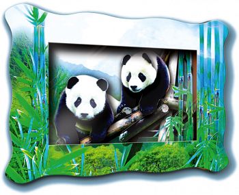 Объемная картинка в рамке "Две панды" (Vizzle М0033)