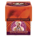 Познавательный набор "Занимательная анатомия. Туловище"