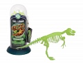 Набор "Тираннозавр Рекс. Светящийся скелет самого свирепого динозавра"