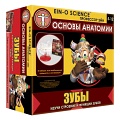 Познавательный набор "Основы анатомии. Зубы"