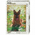 Пазл "Animal Collection. Овчарка" (260 элементов)