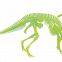 Набор "Паразауролоф. Светящийся скелет венценосного динозавра" (Дино Горизонт D133XPA)