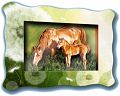 Объемная картинка в рамке "На лугу" (6 деталей)